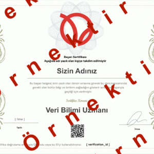 Veri Bilimi Uzmanı Sertifika Sınavı