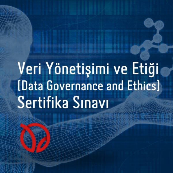 Veri Yönetişimi ve Etiği (Data Governance and Ethics)