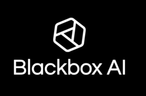 Blackbox AI – Yapay Zeka Destekli Kod Asistanı ve Geliştirici Aracı